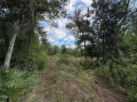 0 Cr-409, Sweeny, TX 77480 photo 5