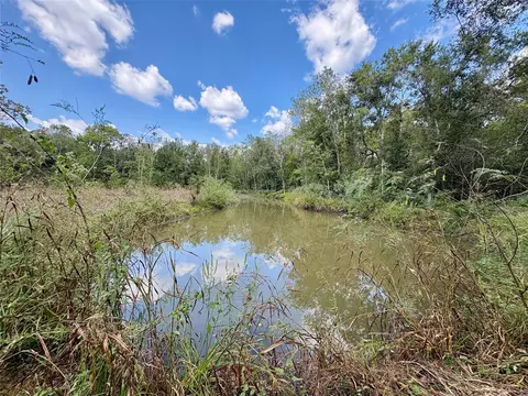0 Cr-409, Sweeny, TX 77480 photo 7
