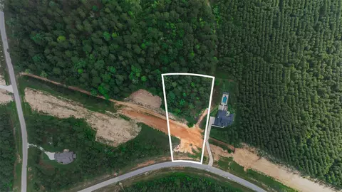 15464 Forest Grove Dr, Willis, TX 77378