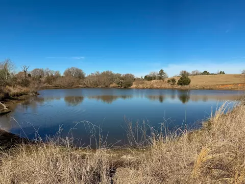 tbd Fcr 280, Oakwood, TX 75855