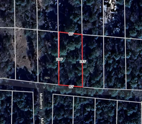lot28 Sycamore Ln, Plantersville, TX 77363
