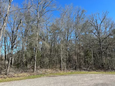 1 24 Ac Circle 5, Orange, TX 77632