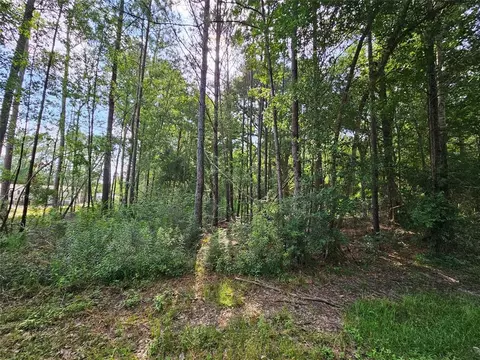 185 Sessums Rd, Silsbee, TX 77656 photo 3