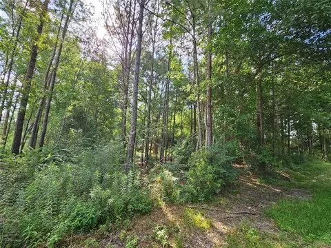 185 Sessums Rd, Silsbee, TX 77656 photo 4