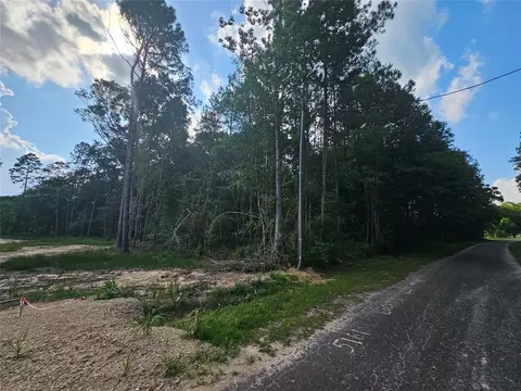 185 Sessums Rd, Silsbee, TX 77656 photo 7