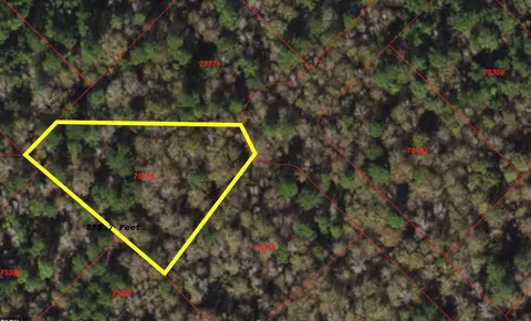 149 Hollow Hill Dr, New Waverly, TX 77340