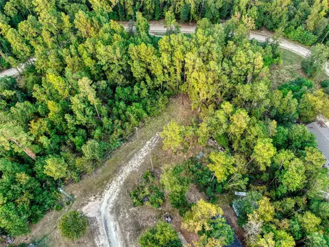 184 Willow Dr, Onalaska, TX 77360