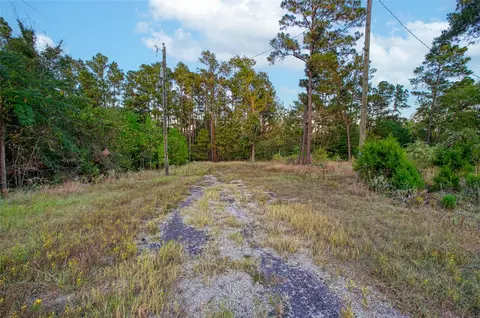 184 Willow Dr, Onalaska, TX 77360 photo 2