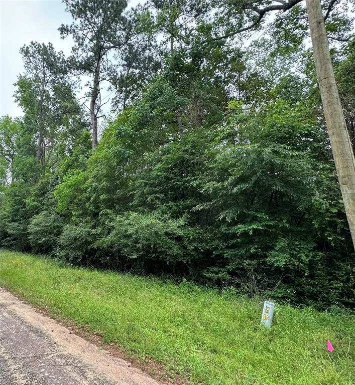 154 South Dove Crk Dr  