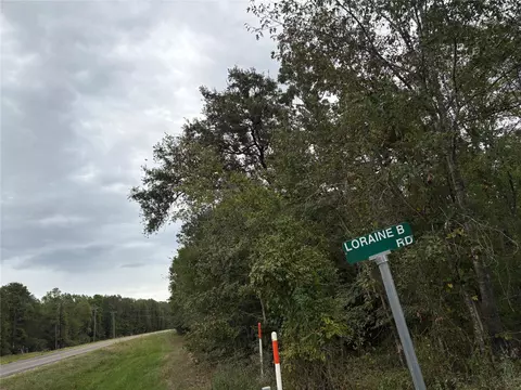 150 Loraine B Rd, Point Blank, TX 77364