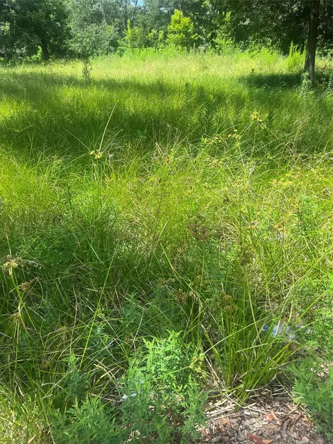 1001 Avenue E, Conroe, TX 77301 photo 8