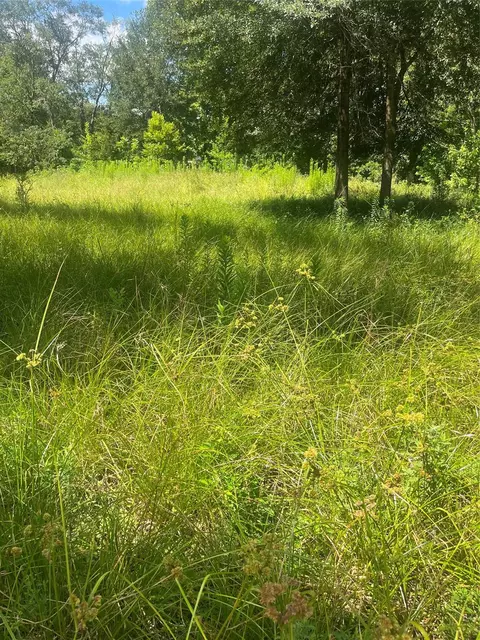 1001 Avenue E, Conroe, TX 77301 photo 4