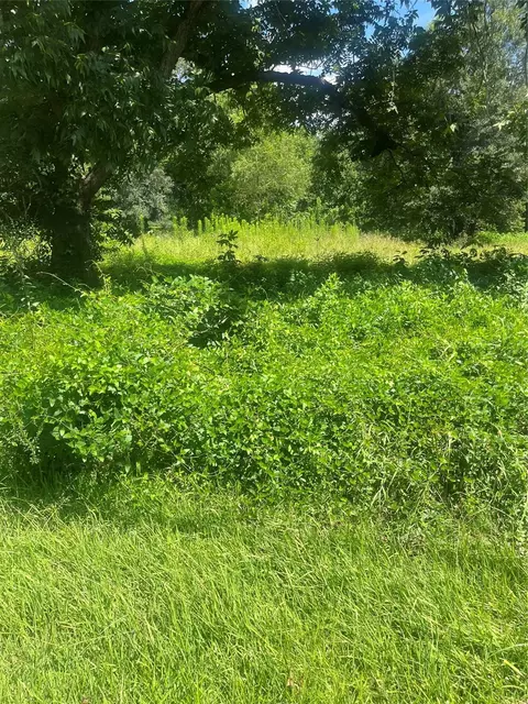 1001 Avenue E, Conroe, TX 77301