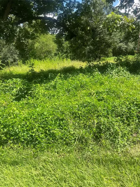 1001 Avenue E, Conroe, TX 77301 photo 12