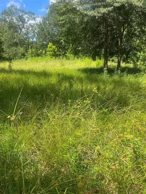 1001 Avenue E, Conroe, TX 77301 photo 7