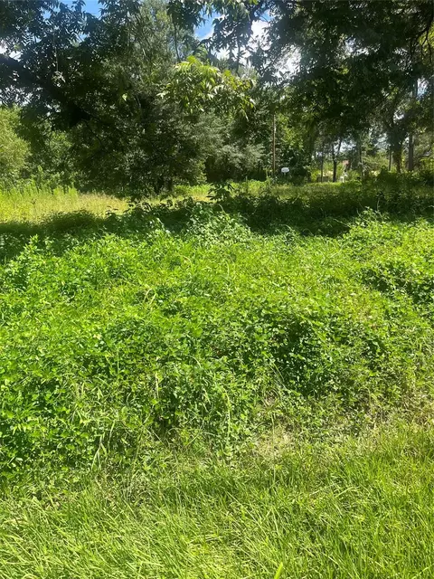 1001 Avenue E, Conroe, TX 77301 photo 10