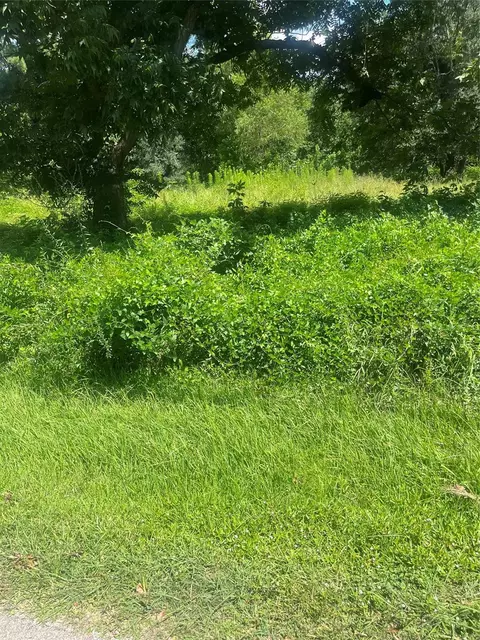 1001 Avenue E, Conroe, TX 77301 photo 3