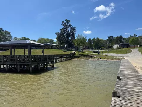 230 E Woodland Shores Dr, Point Blank, TX 77364