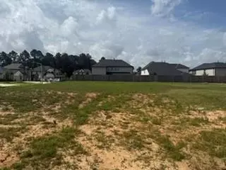 Other - 3224 Bushby Hawthorn Dr, Conroe, TX 77301 photo 3 of 3