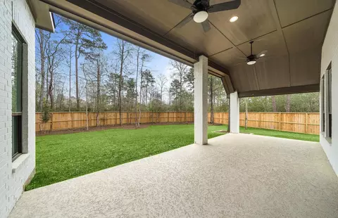 116 Founders Grove Loop, Willis, TX 77318 photo 43