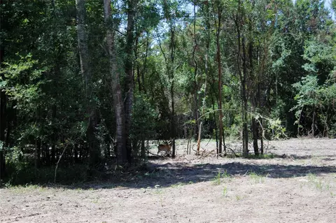 1 5- Acres Greenbriar Rd, Madisonville, TX 77864