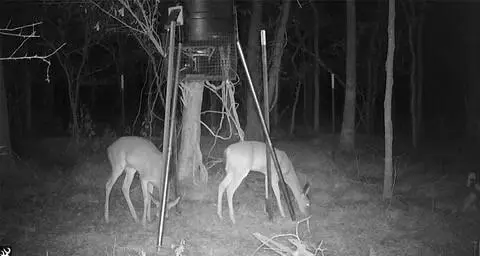 00 Bear Btm, Wharton, TX 77488 photo 7
