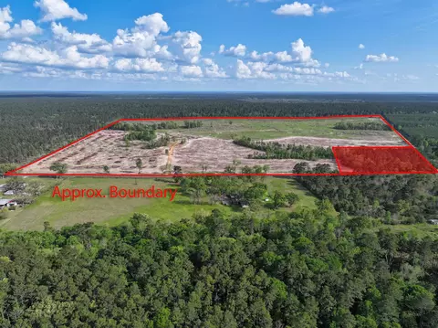 9770 N State Hwy 94, Groveton, TX 75845