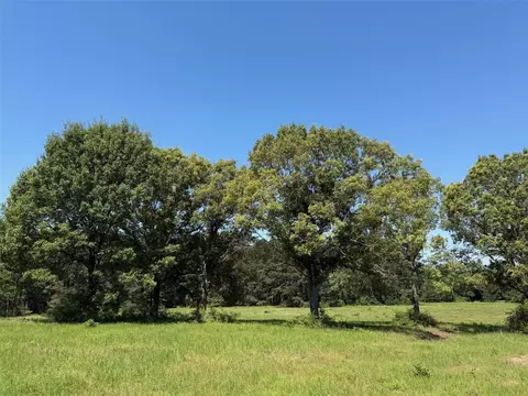 tbd Hwy 75 S, Buffalo, TX 75831