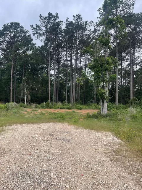 11338 Annie Creek Dr, Willis, TX 77378