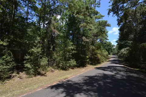 tbd Rals Dr, Onalaska, TX 77360