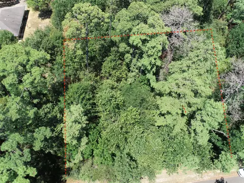 tbd Rals Dr, Onalaska, TX 77360 photo 5