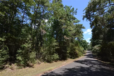 tbd Rals Dr, Onalaska, TX 77360 photo 2