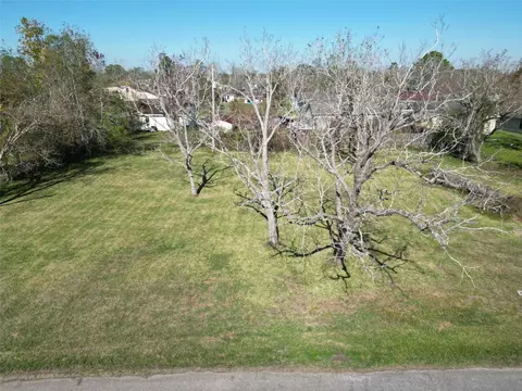 409 Carlton St, Brazoria, TX 77422