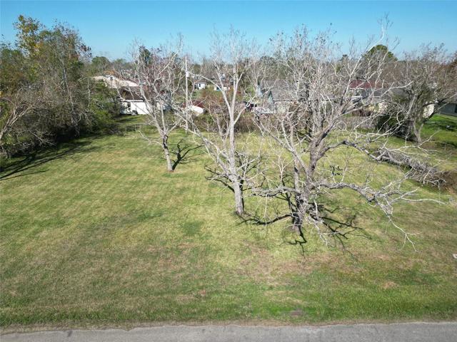 409 Carlton St, Brazoria, TX 77422