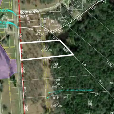 lot36 Lake Livingston Ln, Trinity, TX 75862
