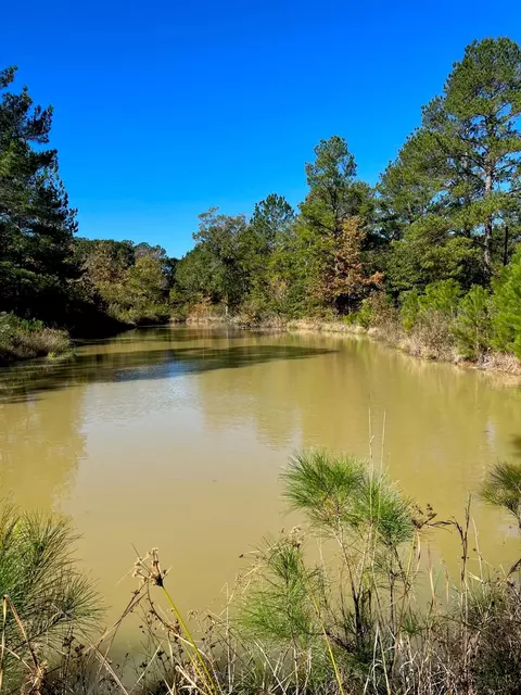 31517 Bohlssen Rd, New Caney, TX 77357