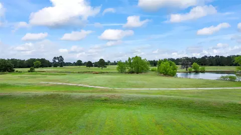 View/Area - 318 Jamestown Rd, Trinity, TX 75862 photo 3 of 3