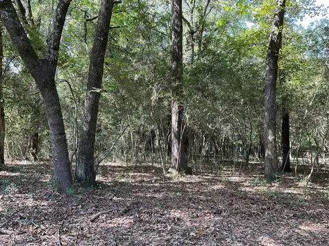 0 Birch St, Trinity, TX 75862 photo 6