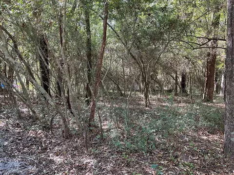 0 Birch St, Trinity, TX 75862 photo 7