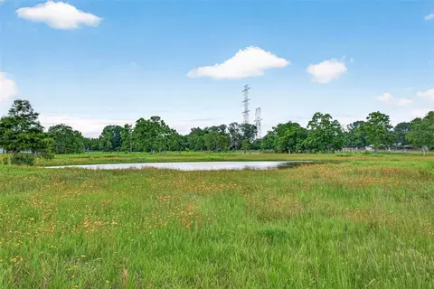 0 Fm 1994, Guy, TX 77444 photo 19
