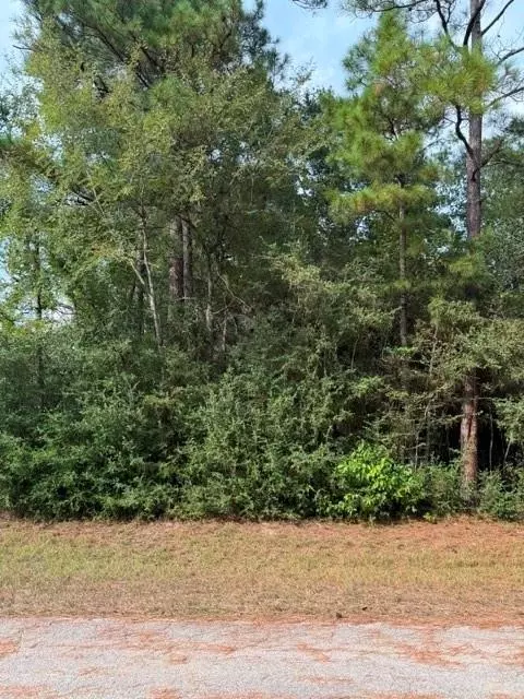 0 Tbd Little John Cir, Hockley, TX 77447