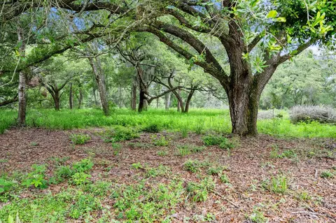 1168 Pargac Ln, Columbus, TX 78934