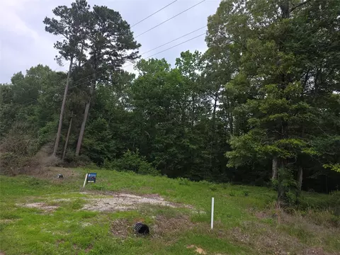 tbd Hidden Oak Dr, Point Blank, TX 77364