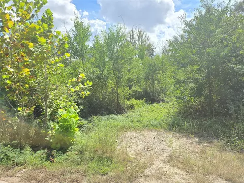 tbd Short St, Splendora, TX 77372 photo 2