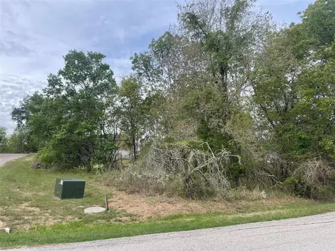 tbd N Forest Cove Loop, Coldspring, TX 77331