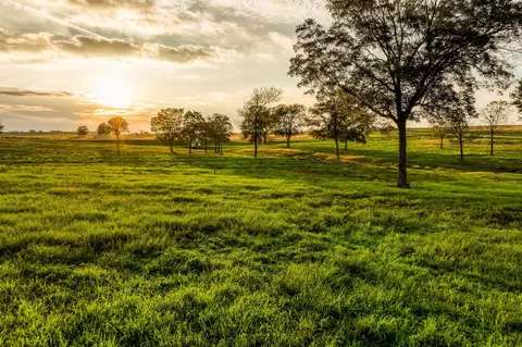 tbd Sunny Meadow Lot 25 Dr, Chappell Hill, TX 77426