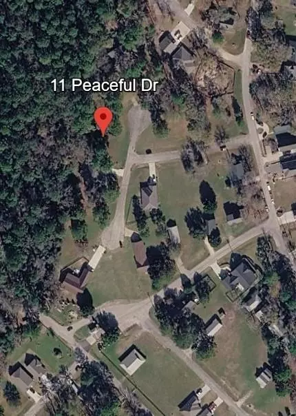 11 Peaceful Dr, Huntsville, TX 77340