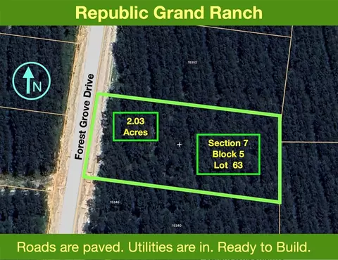 15346 Forest Grove Dr, Willis, TX 77378 photo 1