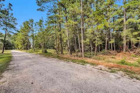 1503 Cheyenne Loop, Montgomery, TX 77316