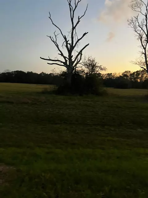 1007 Chuckwagon Trl, Angleton, TX 77515